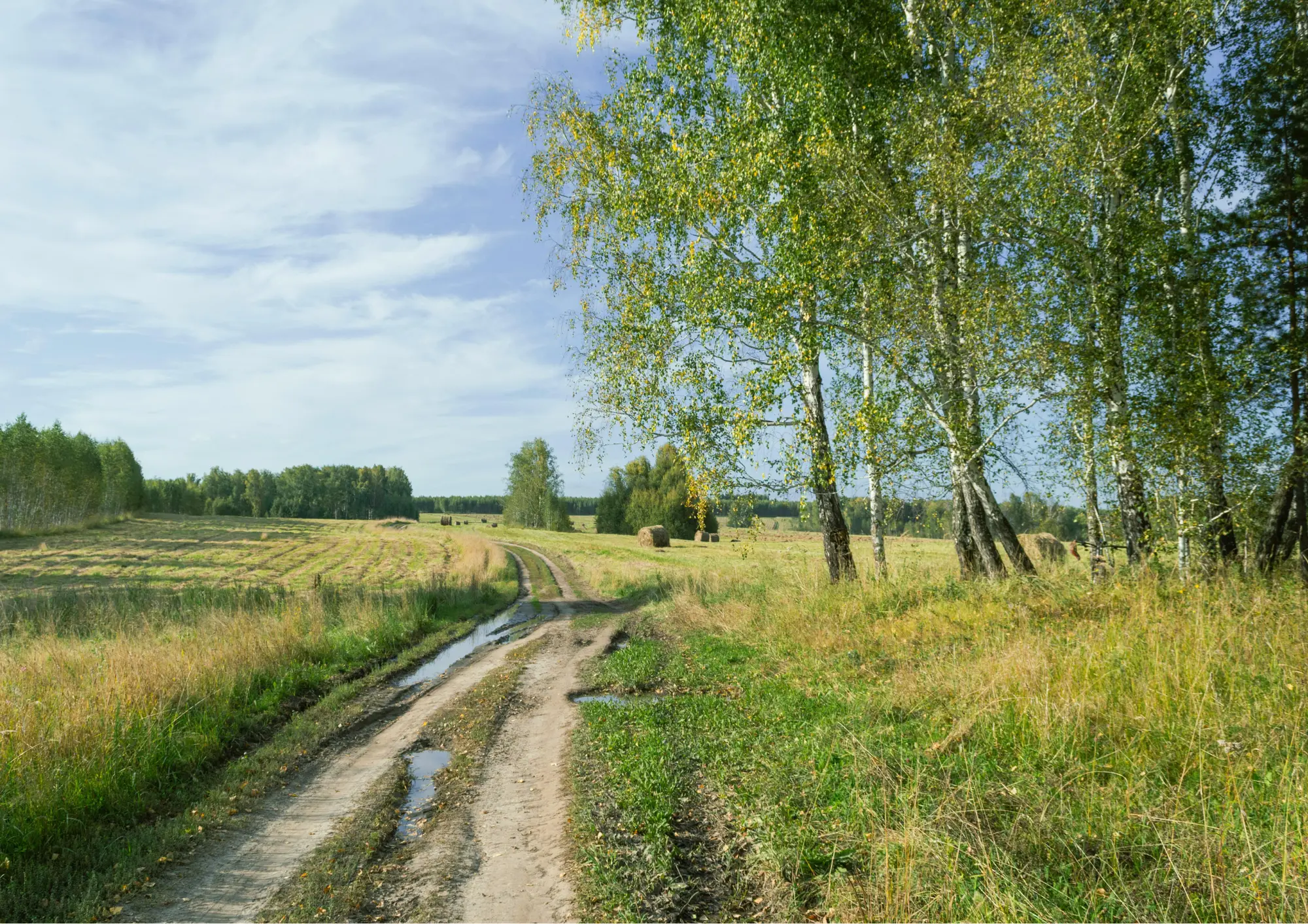 Co może zmienić się w ubezpieczeniach rolników w 2026 roku? Przewidywane kierunki i ważne informacje
